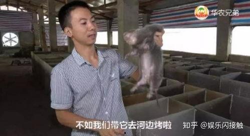 潮汕网红吃瓜事件视频播放,视频播放量惊人，网友热议不断  第2张